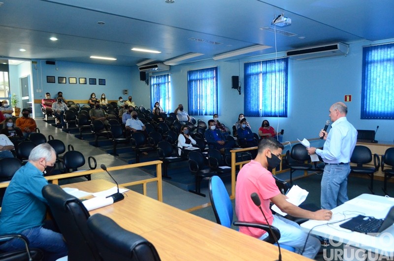 Morte de abelhas preocupa apicultores de Erval Seco