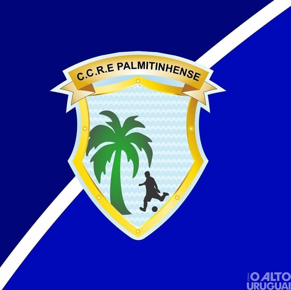 Palmitinho terá time de futsal profissional