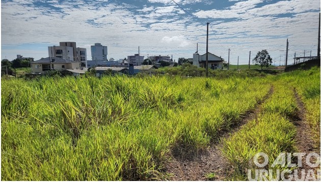 Prefeitura de FW realiza leilão on-line de bens móveis e imóveis