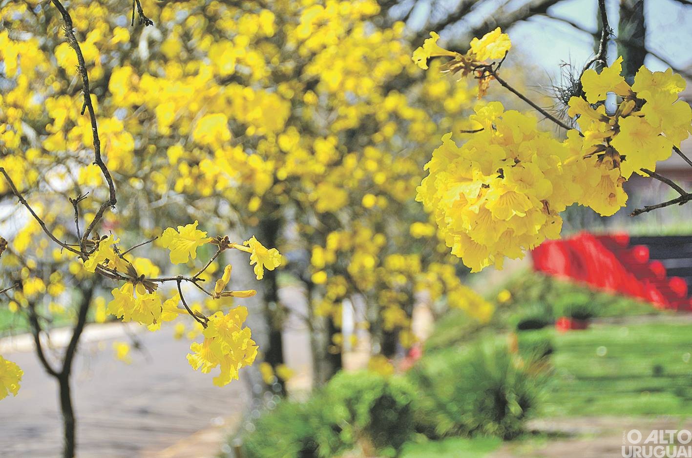Primavera será de chuvas abaixo da média e muito calor