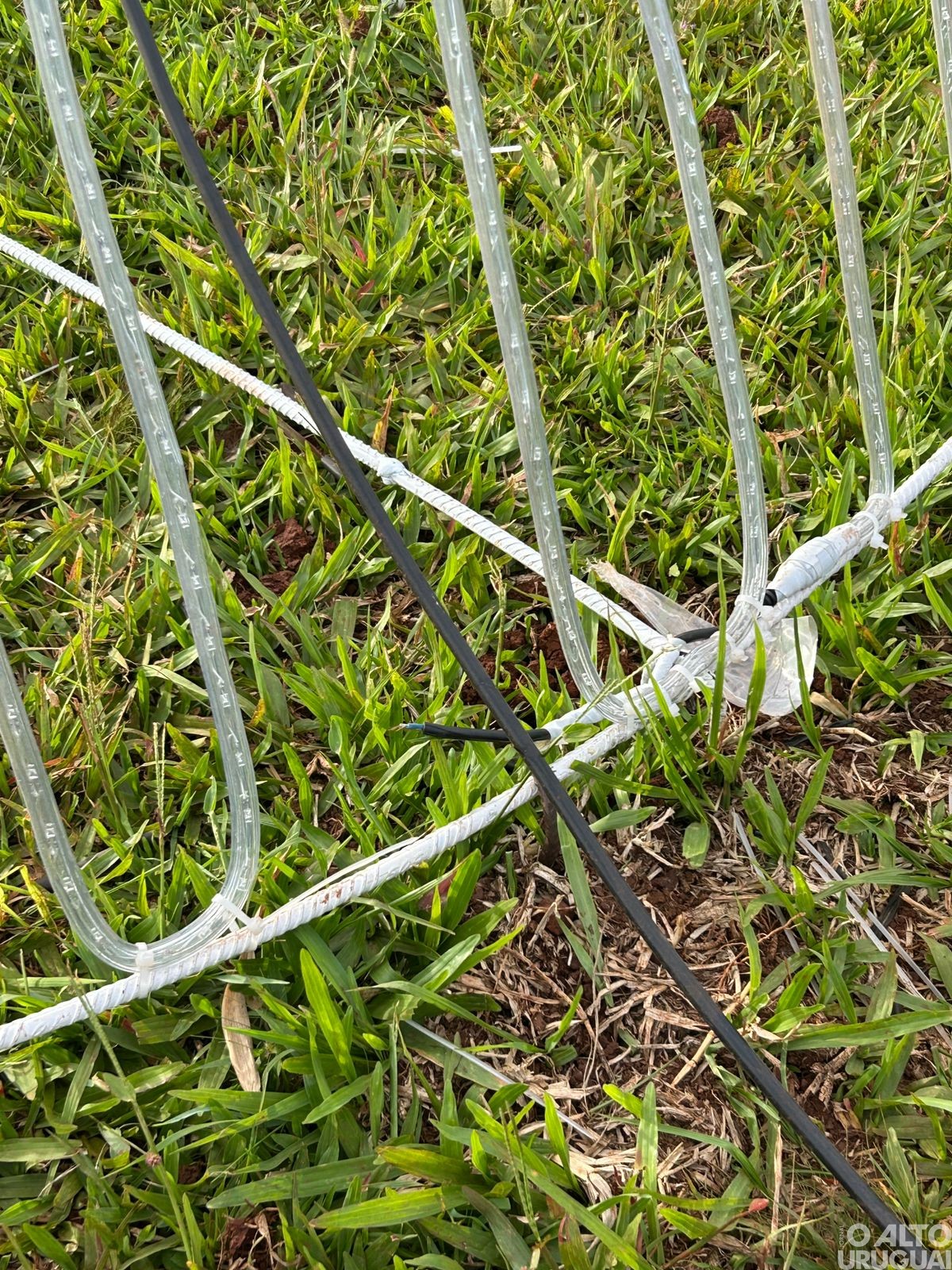 Decoração natalina é vandalizada em Seberi