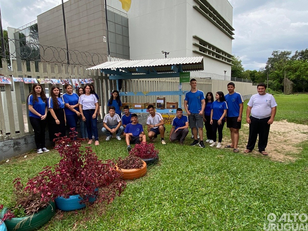 Escola de Iraí apresenta meliponário desenvolvido por estudantes