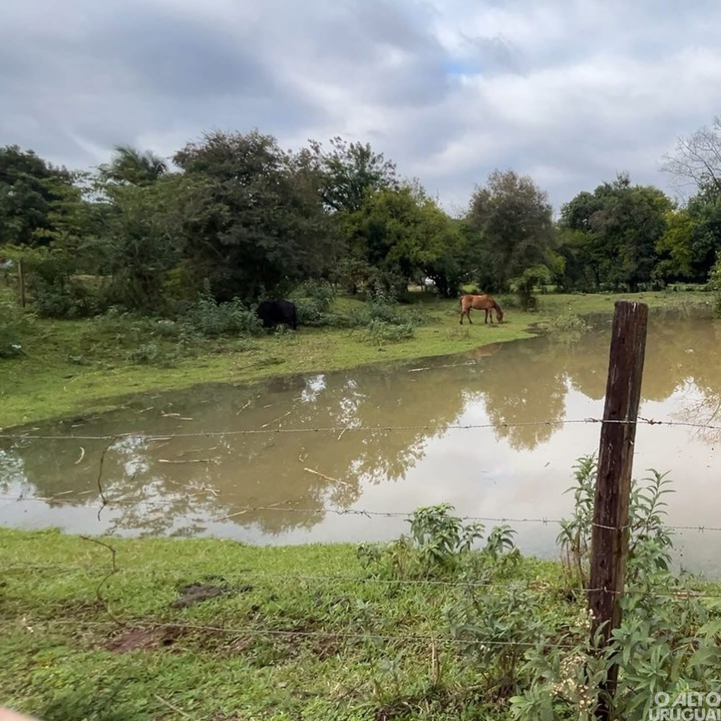 Cheia do rio Mel avança em Iraí e causa alerta nas áreas mais baixas