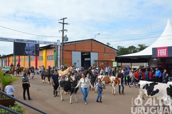 Animais campeões desfilam pela Expofred