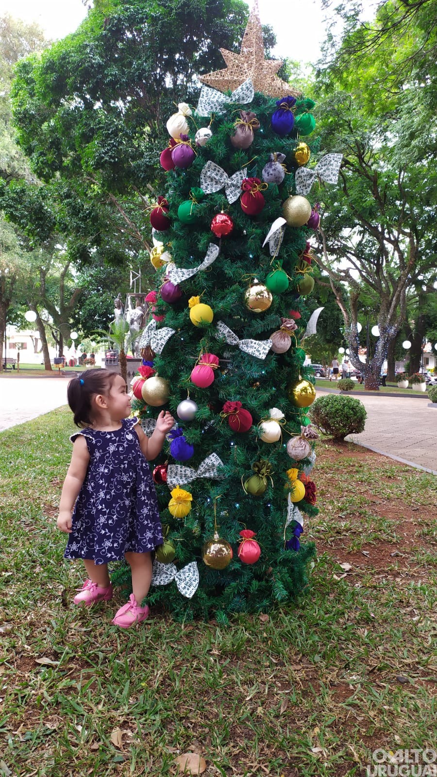 Rodeio Bonito: comemorações natalinas iniciam neste domingo