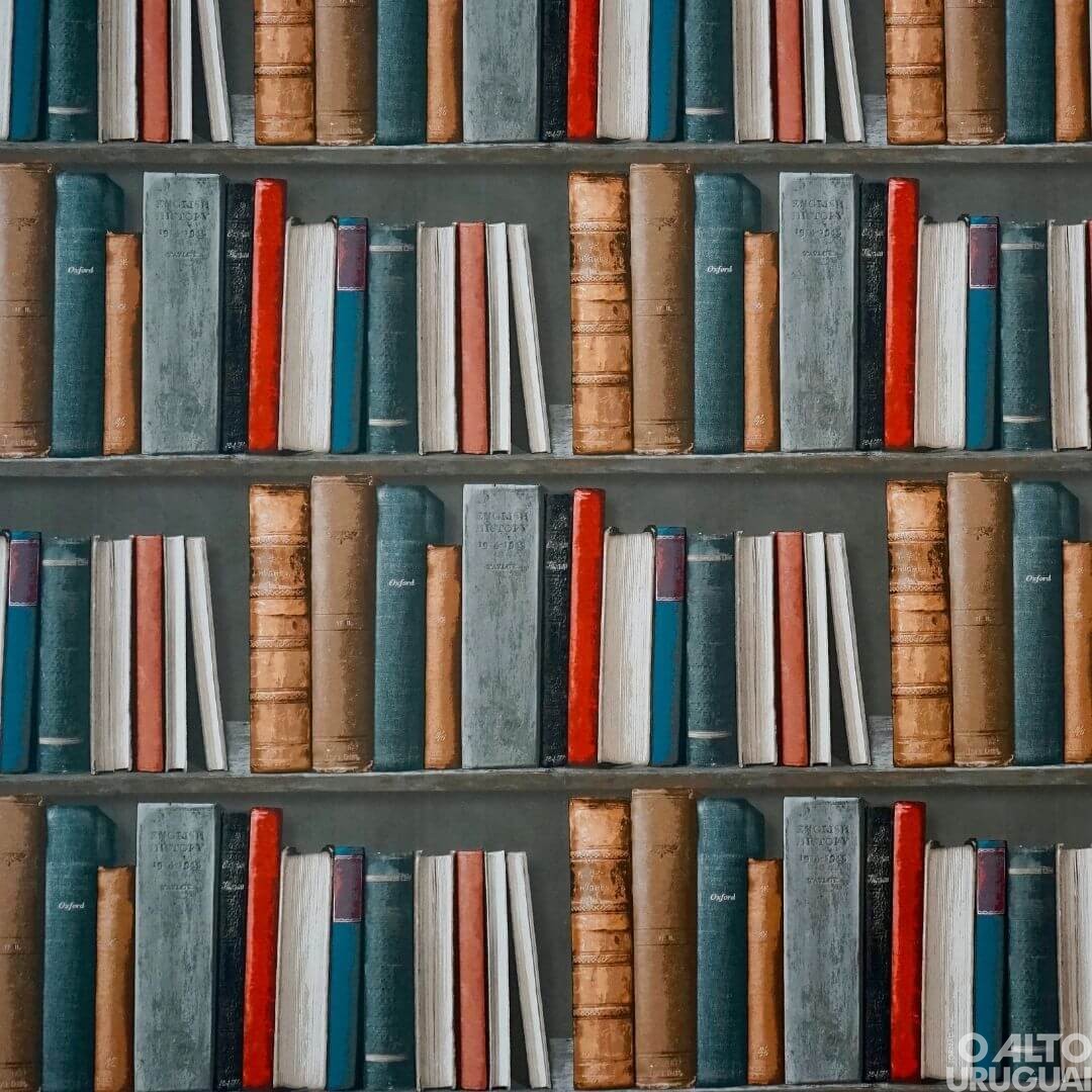 Smec de FW adota plataforma digital para auxiliar estudantes na leitura e escrita