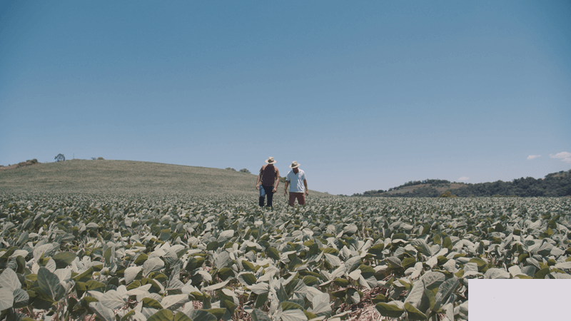 Pinhal: irmãos se juntam para fortalecer a agricultura familiar