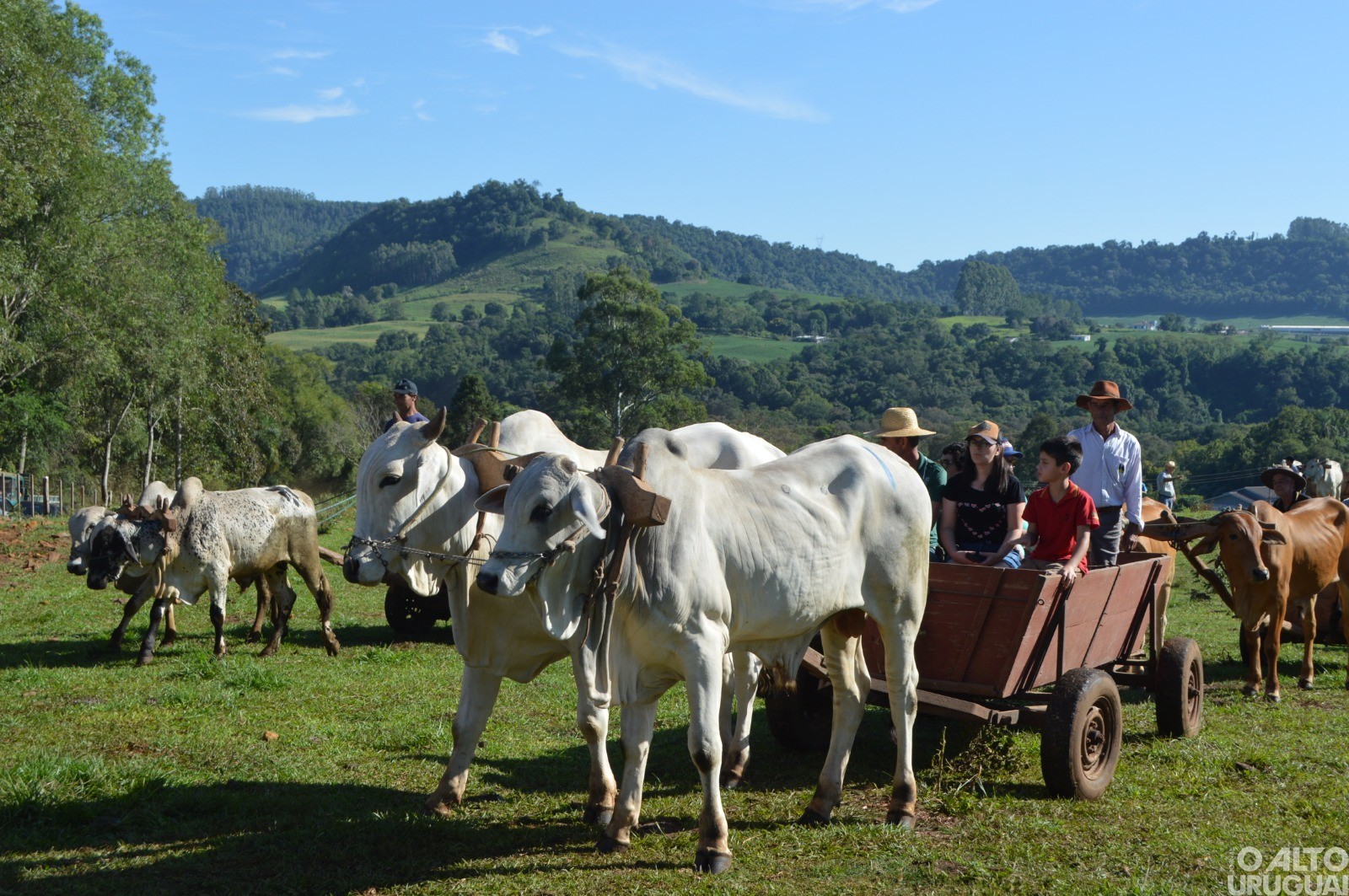 Segunda Carreteada da Amizade reúne grande público