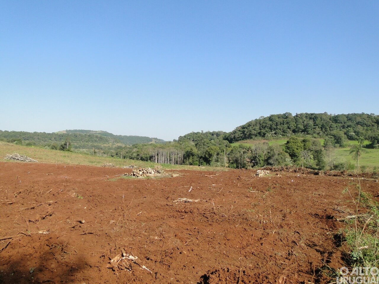 Patram-FW flagra desmatamento no interior de Palmitinho