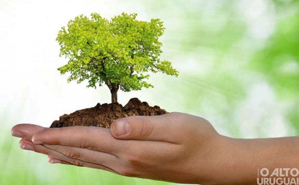 O Dia do Meio Ambiente é todo dia!