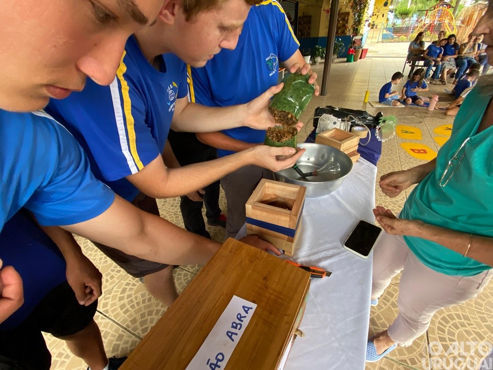 Escola de Iraí apresenta meliponário desenvolvido por estudantes