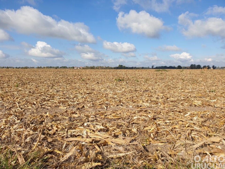 Dois Irmãos das Missões alerta para uso consciente da água