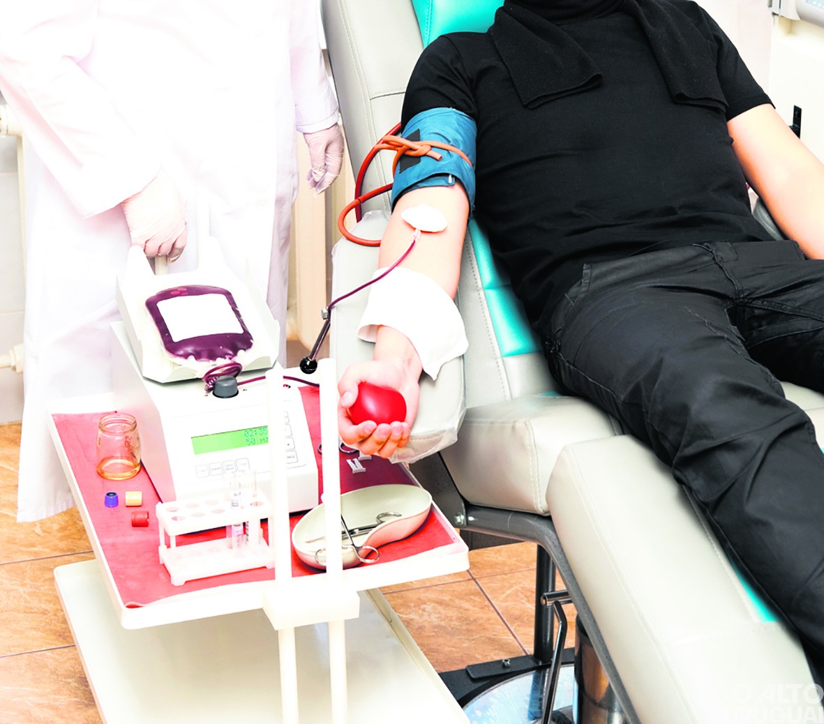 FW terá ponto de coleta de sangue