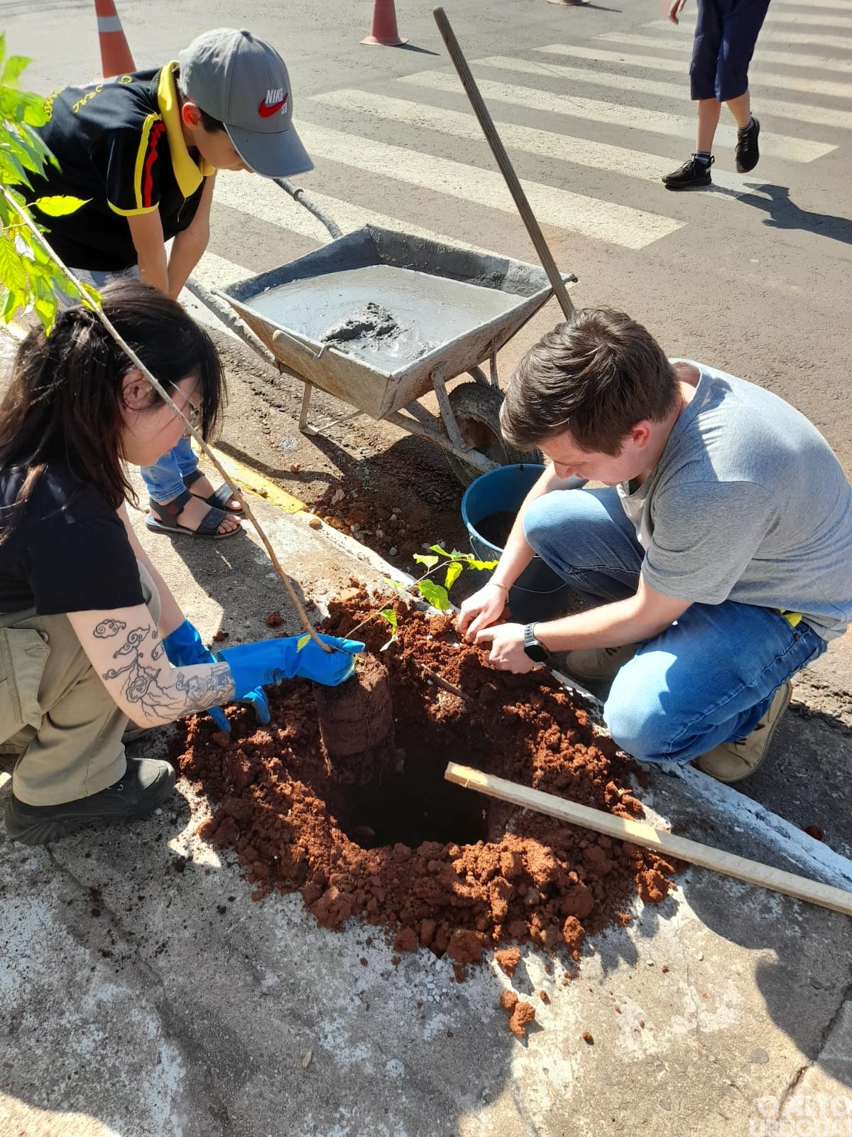 Centro Cultural 25 de Julho realiza projeto de arborização em FW