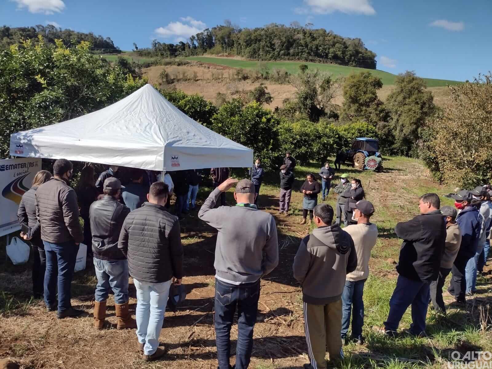 Rodeio Bonito: viabilidade da cultura da laranja é tema de Tarde de Campo