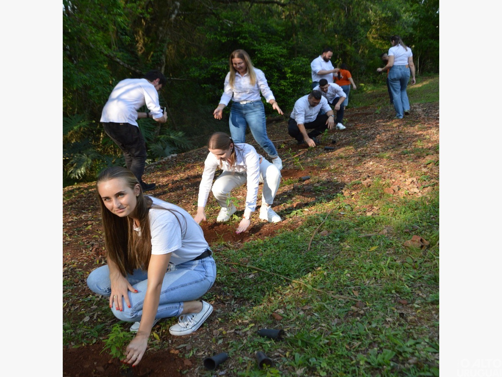 Cresol Raiz realiza ação simbólica com plantio de árvores em FW