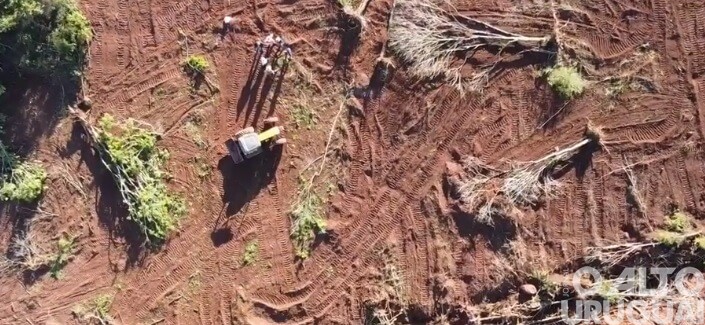 Programa Porteira Adentro beneficia agricultor em Seberi