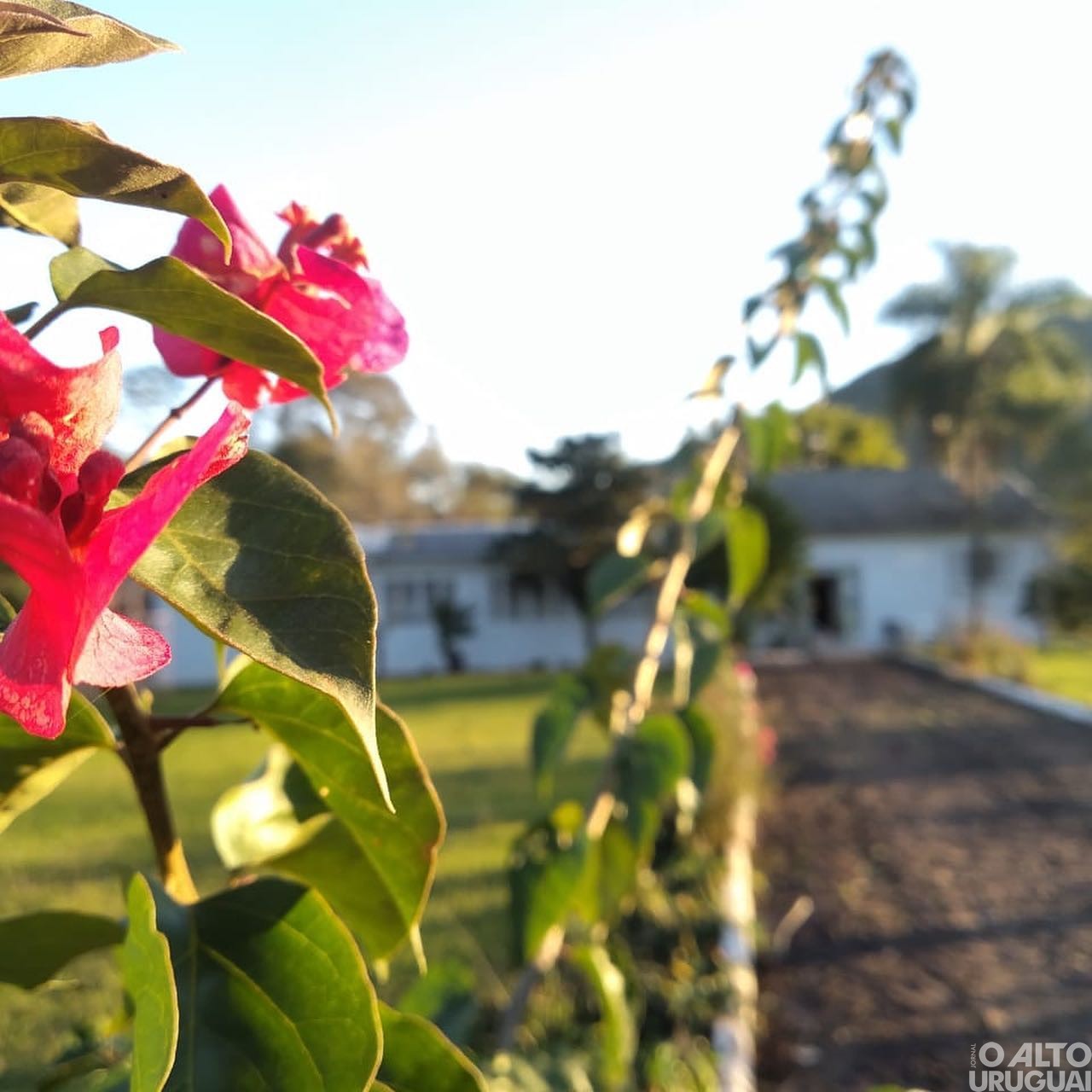 Lançada campanha “Você conhece a Bárbara?”