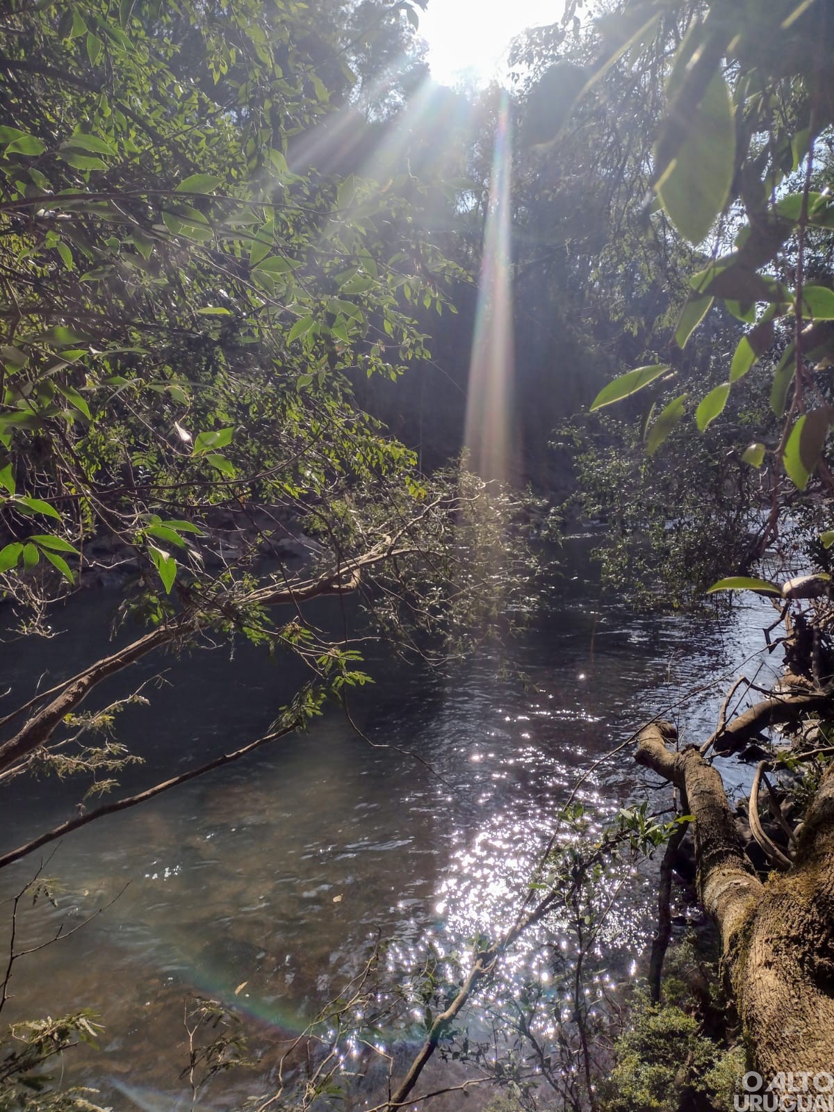 Estudantes do Ensino Fundamental participam da 6ª edição do Concurso Fotográfico de Novo Tiradentes