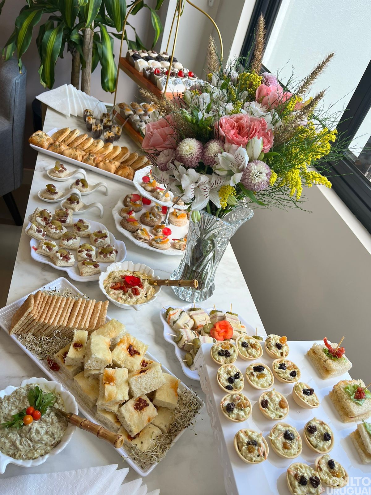 Tatieli Peixoto Signori reinaugura consultório em FW