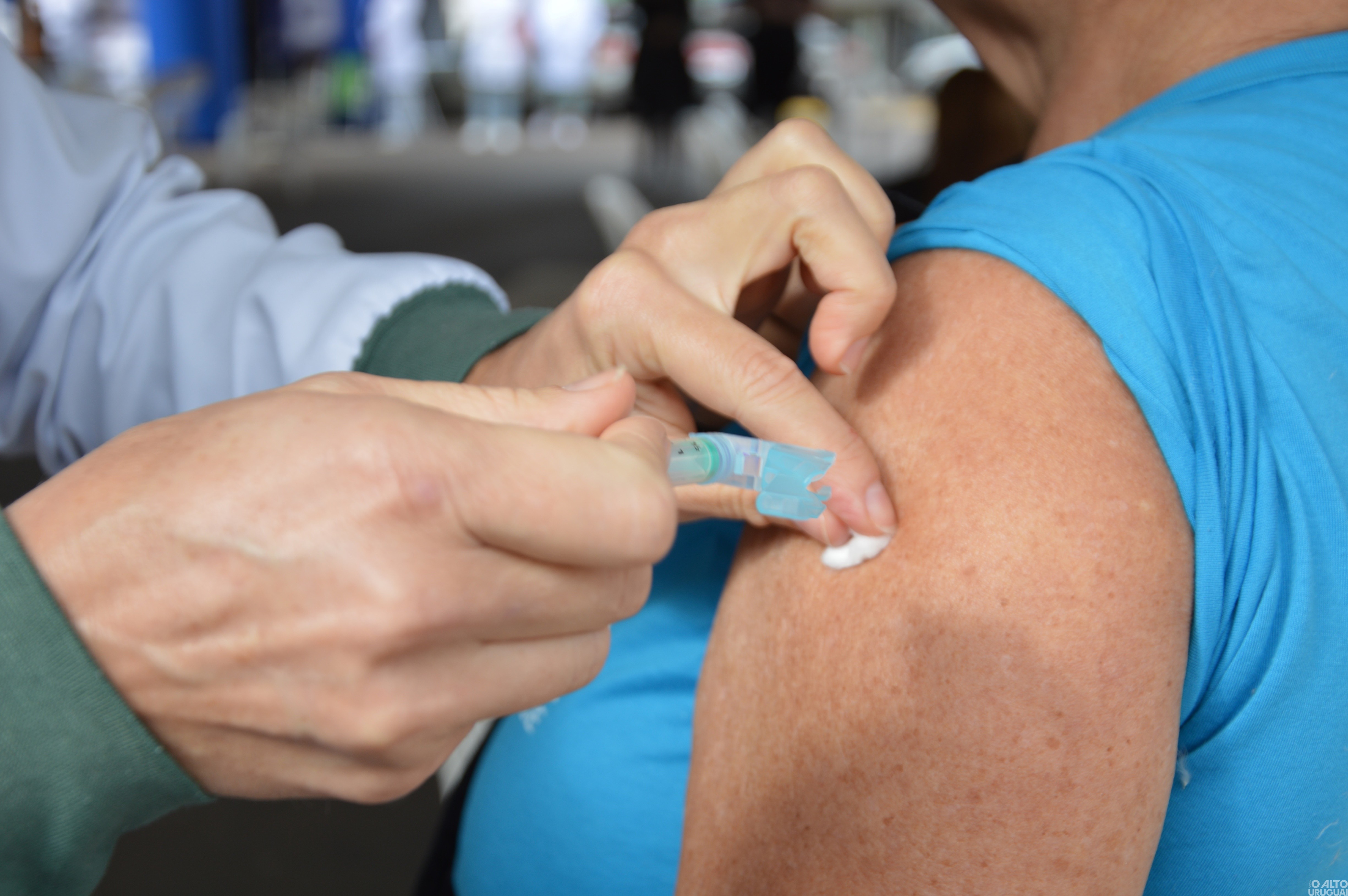 Primeira vacina contra Chikungunya é aprovada pela Anvisa