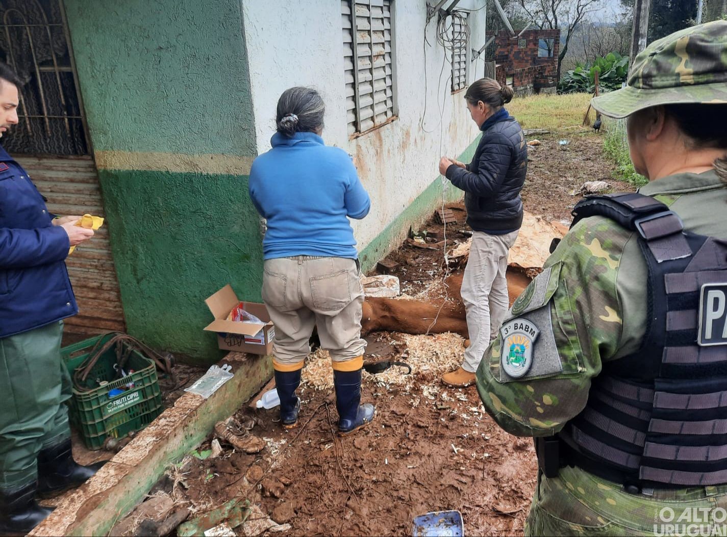BM flagra maus-tratos a animais no interior de Frederico Westphalen