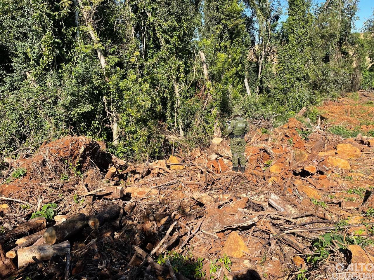 Brigada Militar flagra desmatamento em Rodeio Bonito