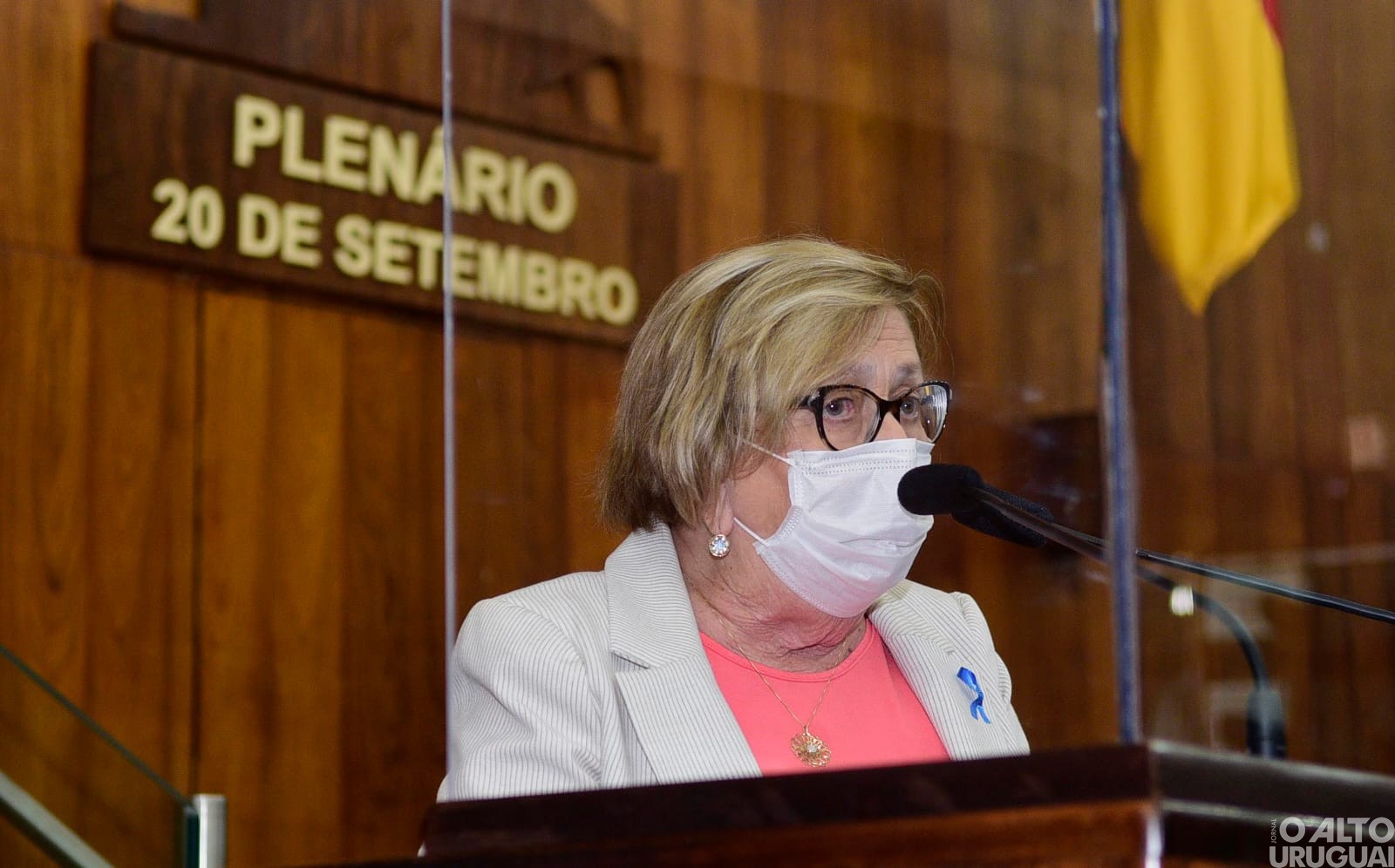 Texto que garante capacitação para mulheres vítimas de violência é aprovado na ALRS