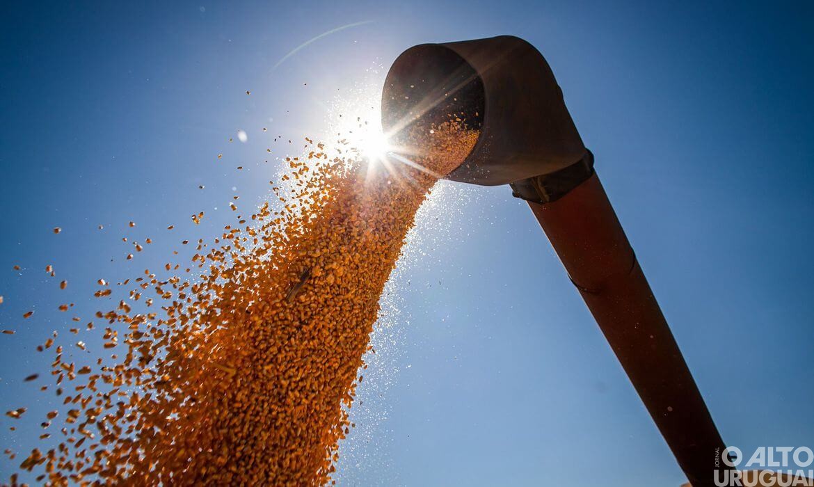 Safra de grãos pode chegar a 291,1 milhões de toneladas