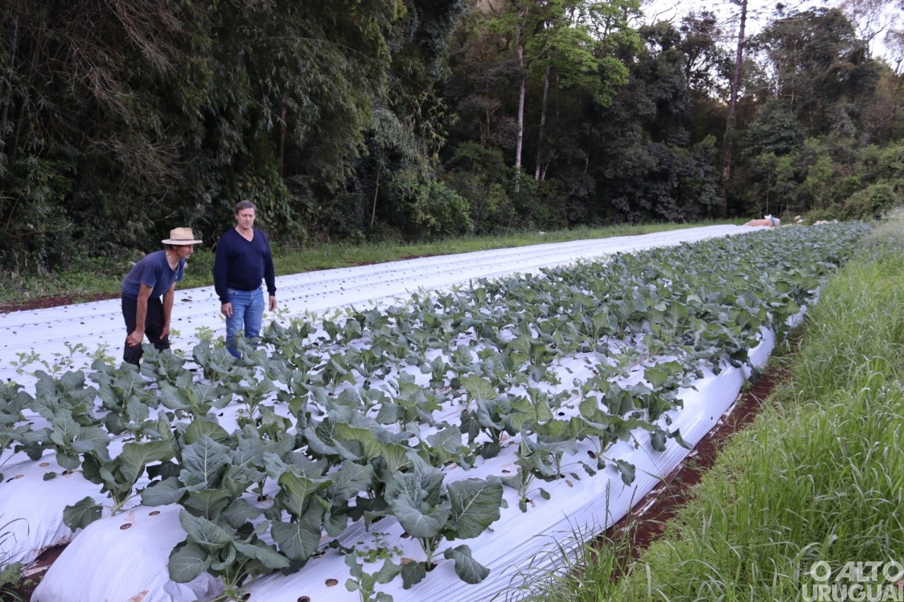 Executivo de Cristal do Sul segue incentivando melhorias em propriedades