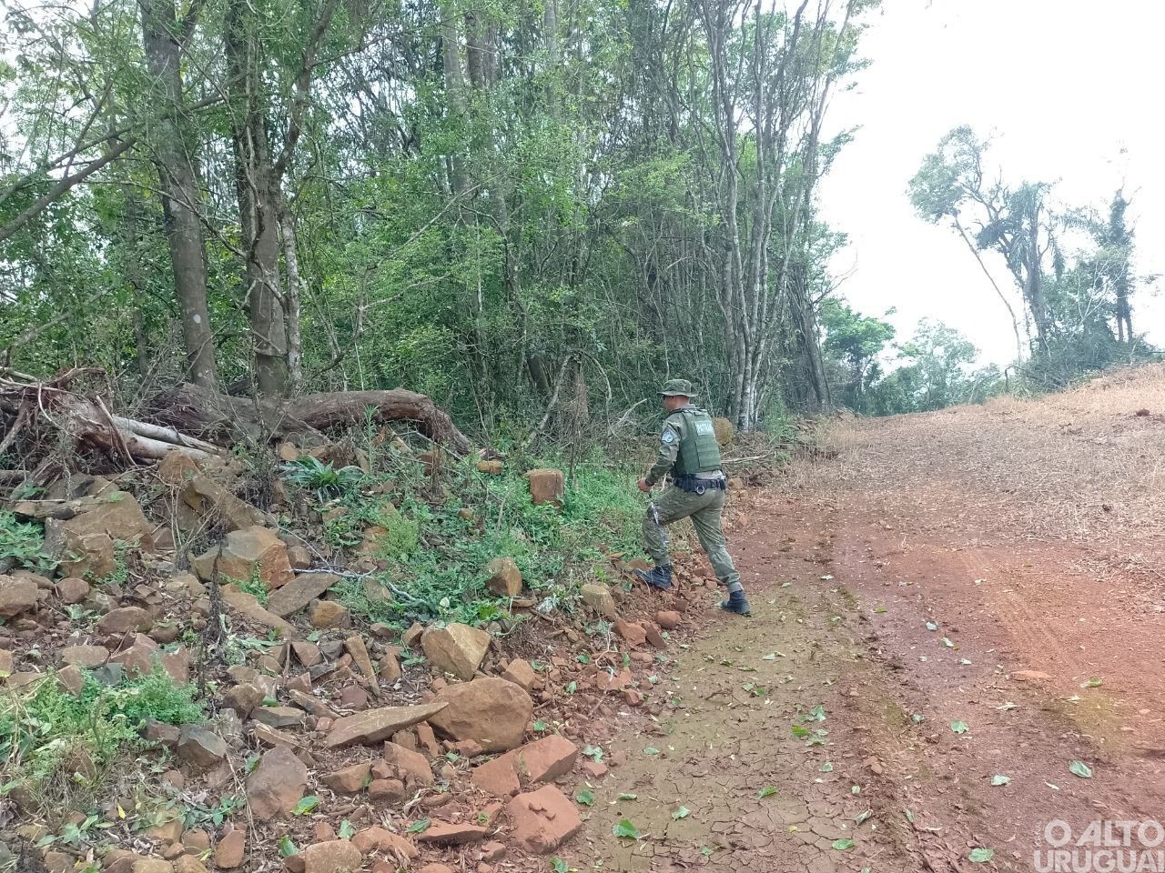 BM constata destruição de vegetação nativa em Planalto