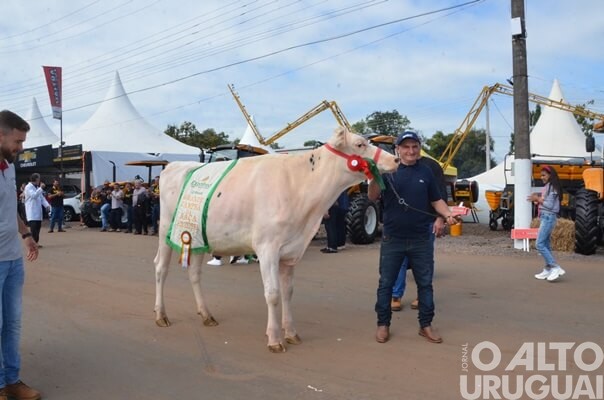 Animais campeões desfilam pela Expofred