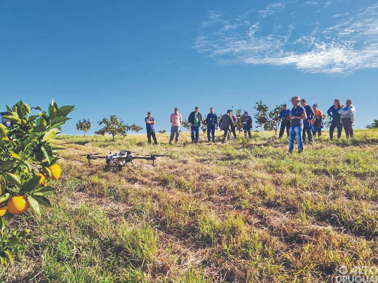 Dia de Campo em Rodeio Bonito reúne agricultores da região