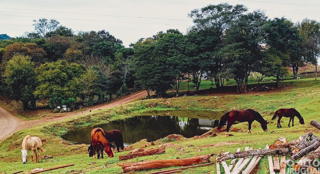 Estudantes do Ensino Fundamental participam da 6ª edição do Concurso Fotográfico de Novo Tiradentes