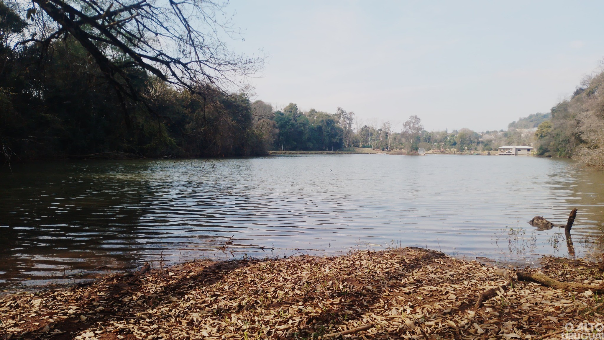 Categoria ensino médio, EJA e livre é destaque no Concurso Fotográfico de Novo Tiradentes