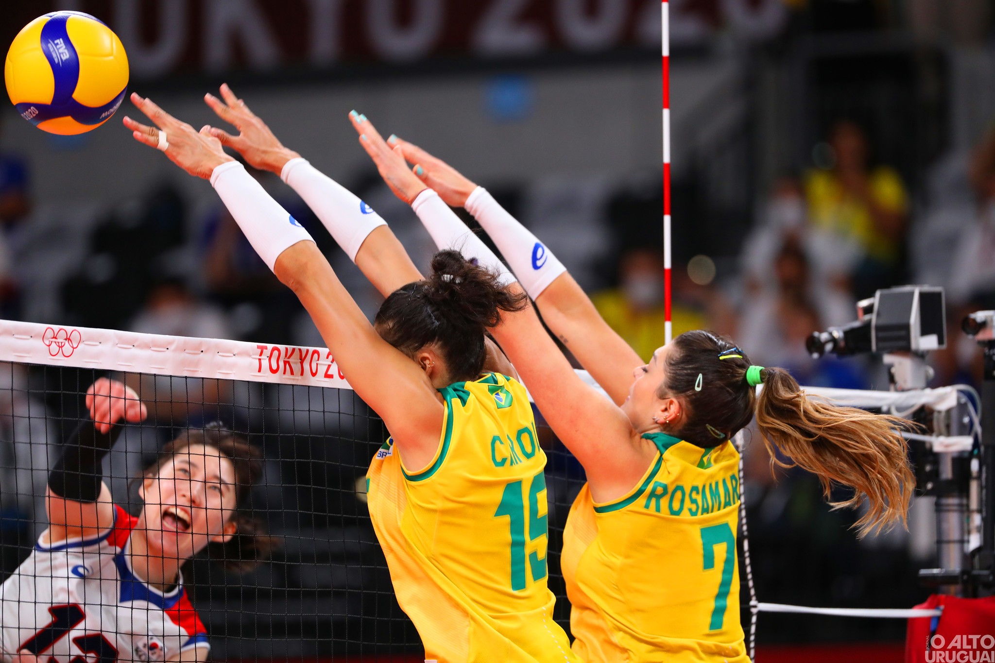 Pré-Olímpico de Vôlei Feminino: Brasil estreia contra Argentina neste sábado