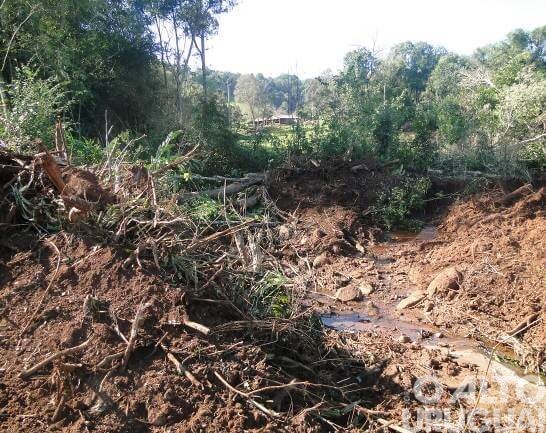 Patram-FW flagra desmatamento no interior de Palmitinho