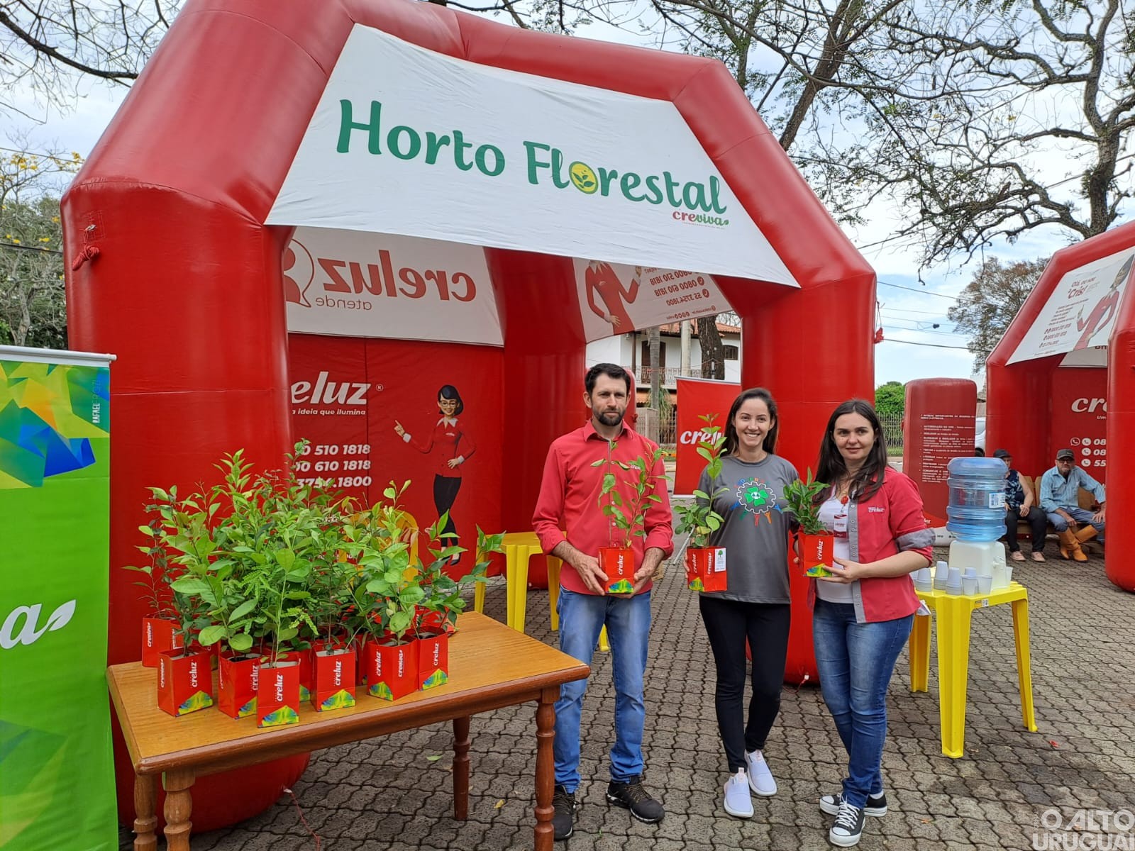 Dia da Árvore é marcado pela intercooperação e voluntariado