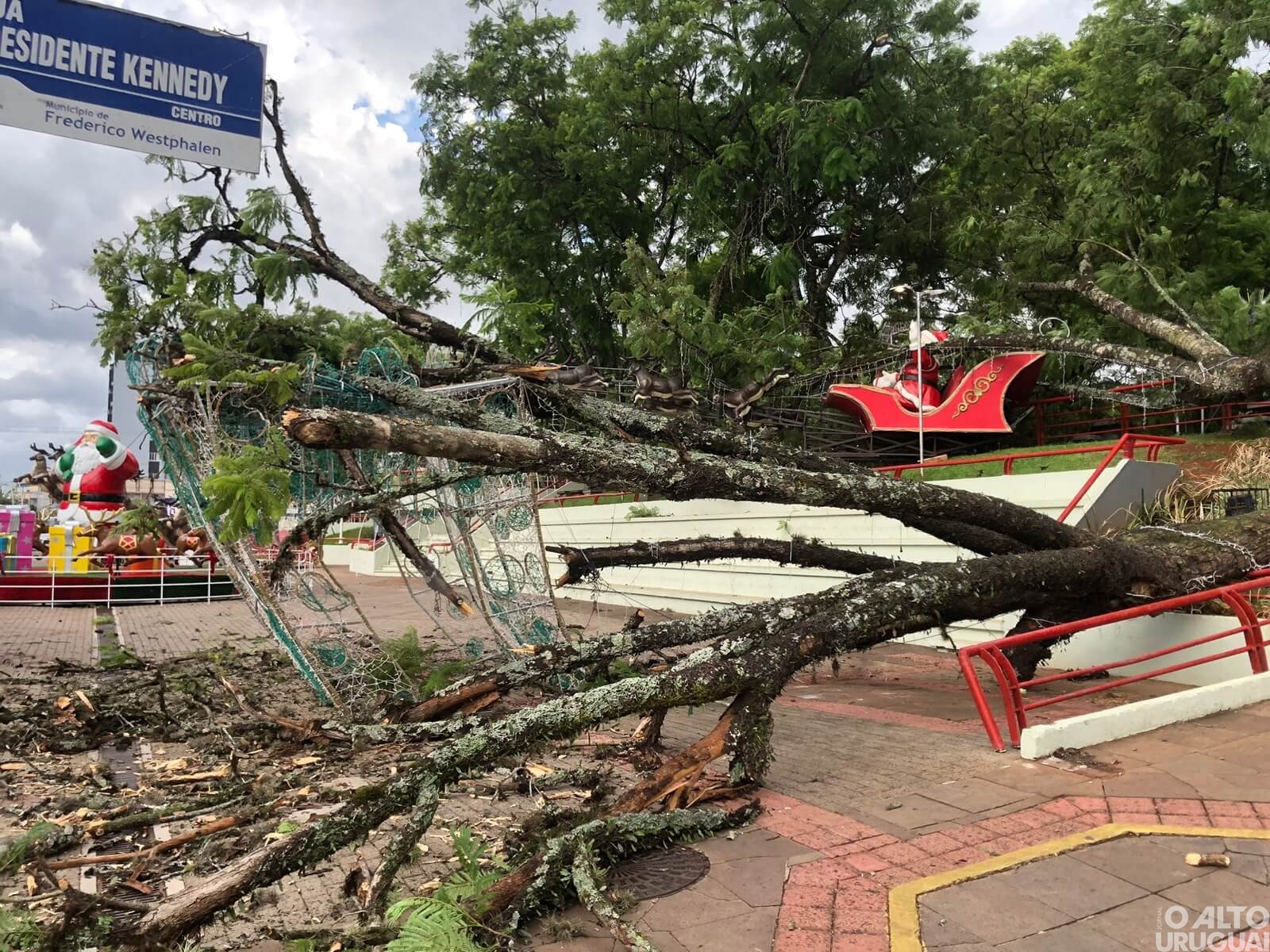 Queda de árvore é registrada do Centro de FW