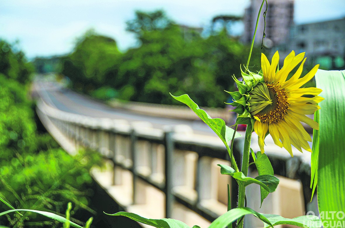 Número de tentativas de suicídio na região preocupa autoridades