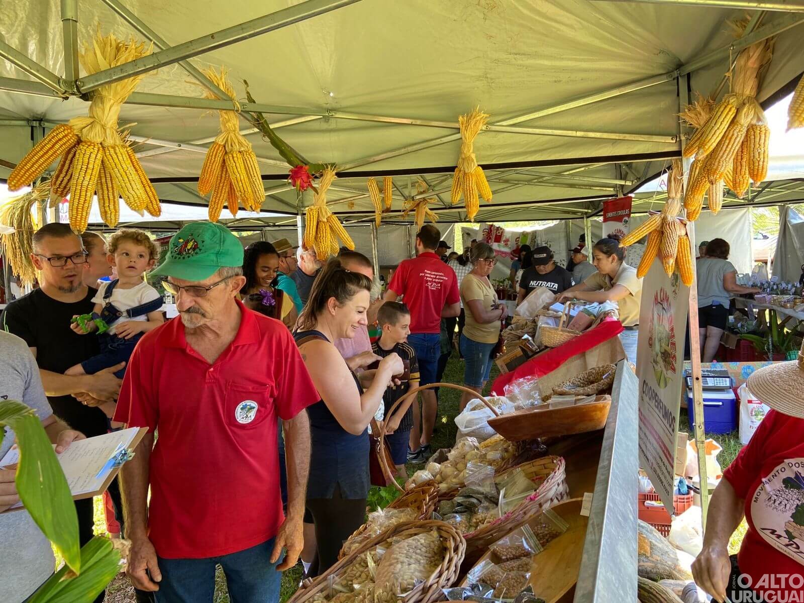 MPA e Cooperbio comemoram 10 anos com Festa da Semente em Seberi