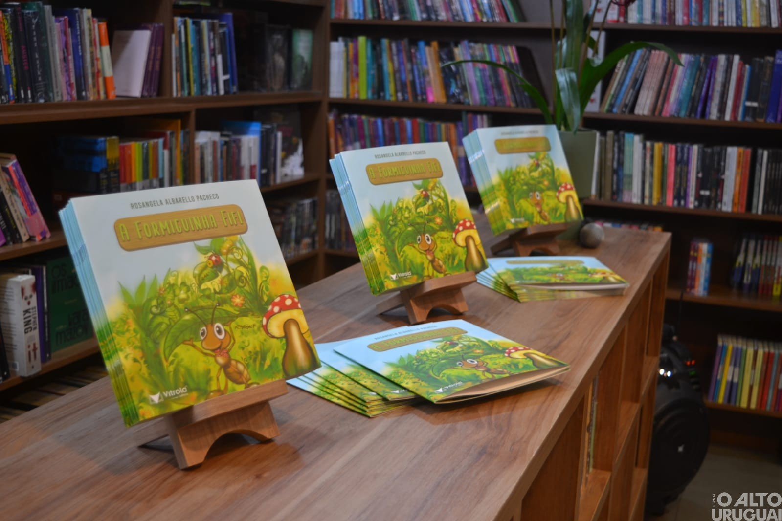 Frederiquense lança livro infantil