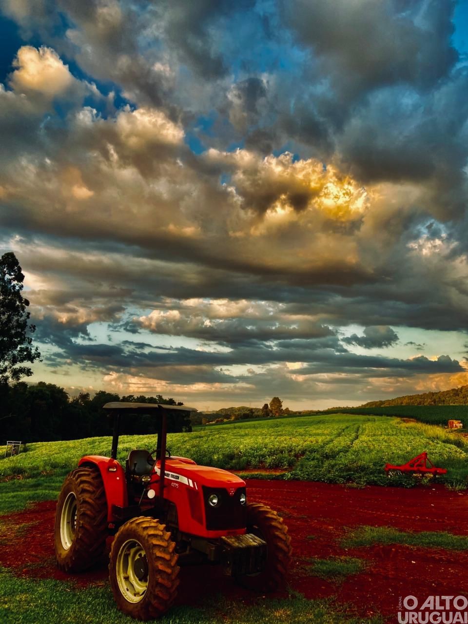 Categoria ensino médio, EJA e livre é destaque no Concurso Fotográfico de Novo Tiradentes