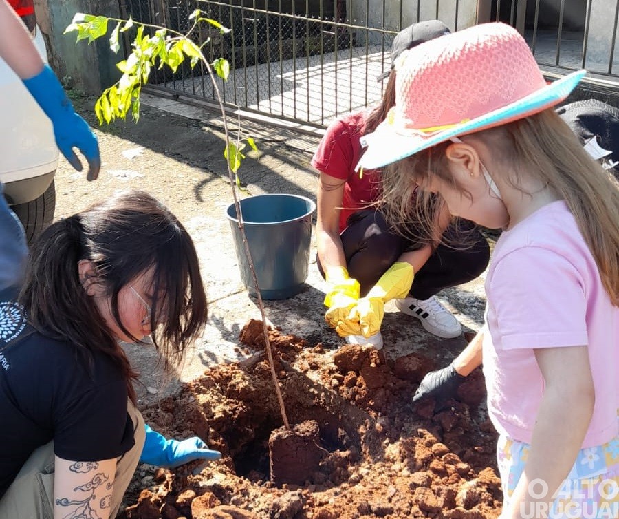Centro Cultural 25 de Julho realiza projeto de arborização em FW