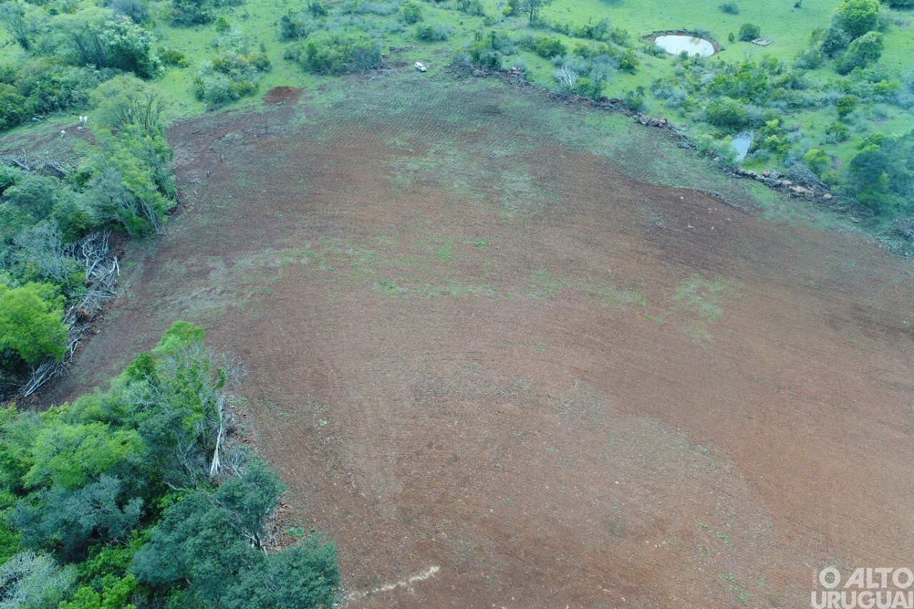 Crime ambiental é registrado no interior de Iraí