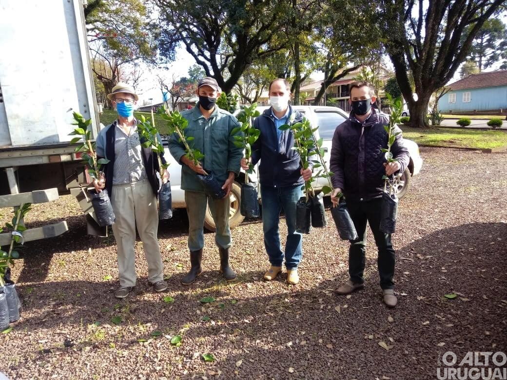 Mais de 8,1 mil mudas de citros são entregues a agricultores de Planalto