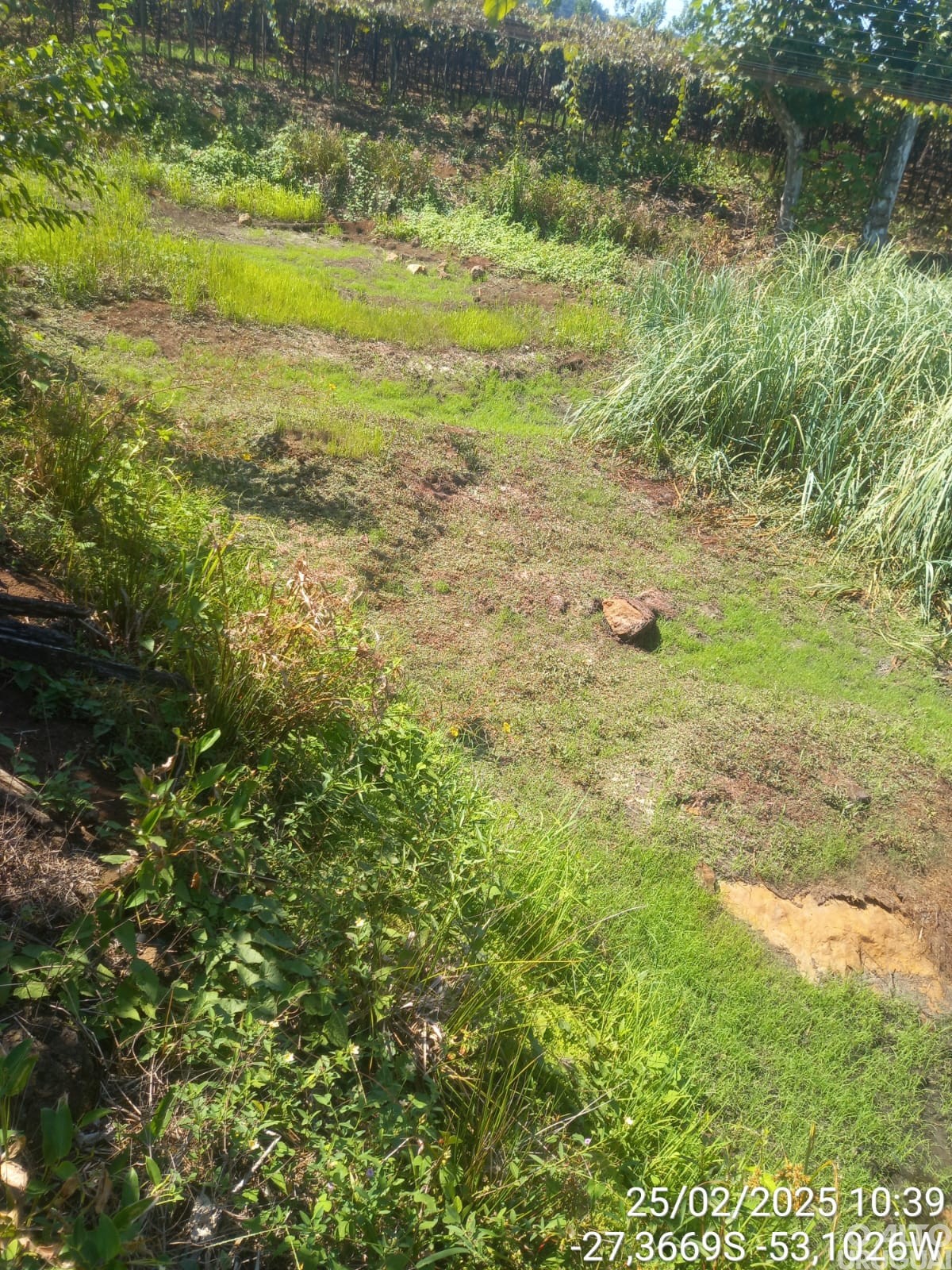Planalto decreta emergência em virtude da estiagem