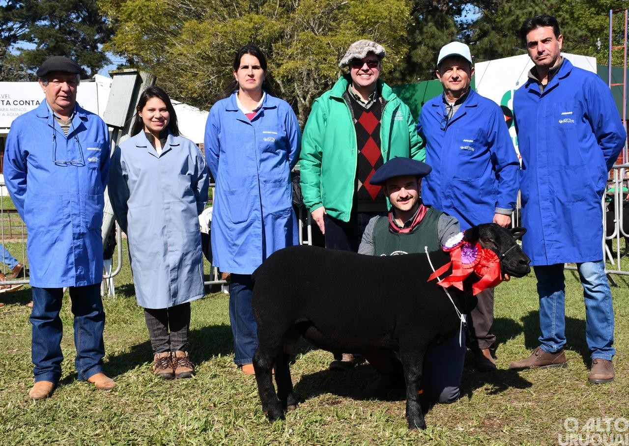 Cabanha Bonfanti é premiada na 47ª Expointer
