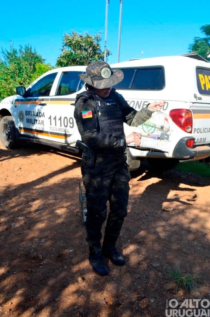 Caiçara: Patram solta pássaros silvestres que estavam presos em residência