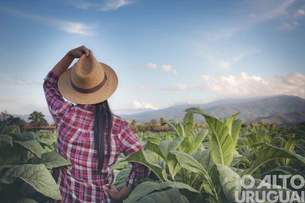 Projeto Entre Mulheres inicia em FW